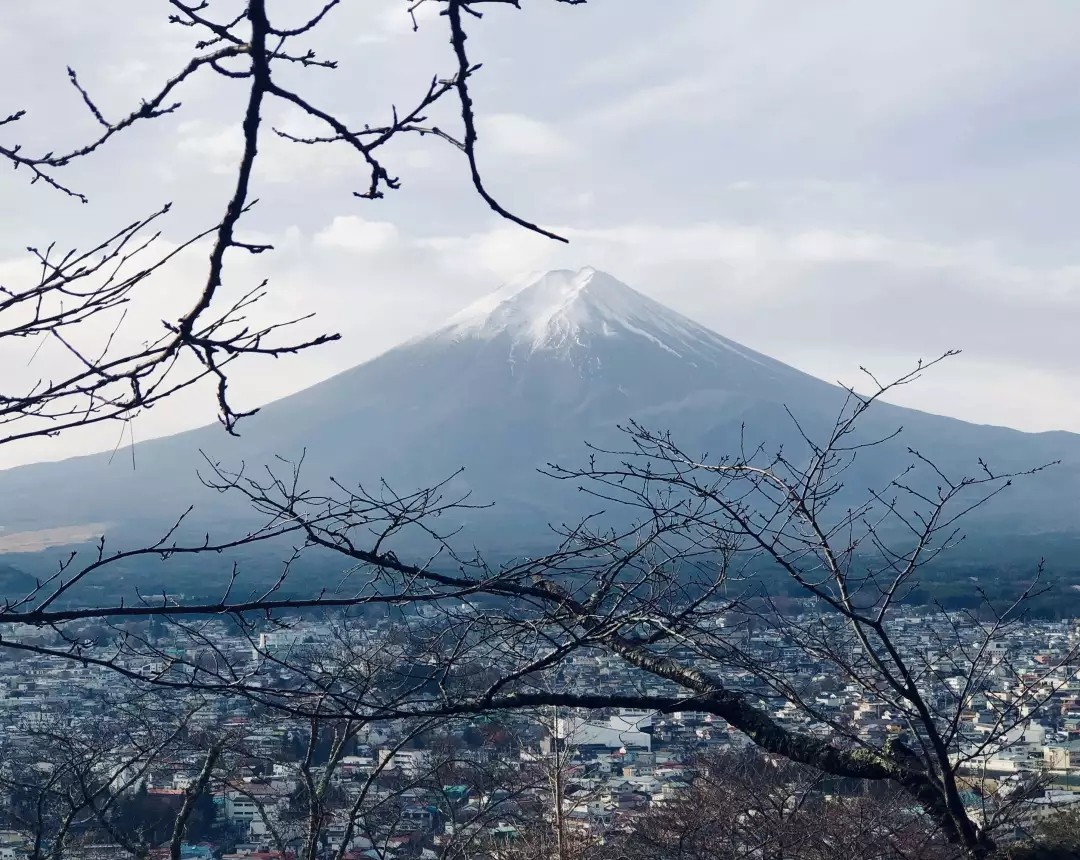 医院建筑设计.jpg